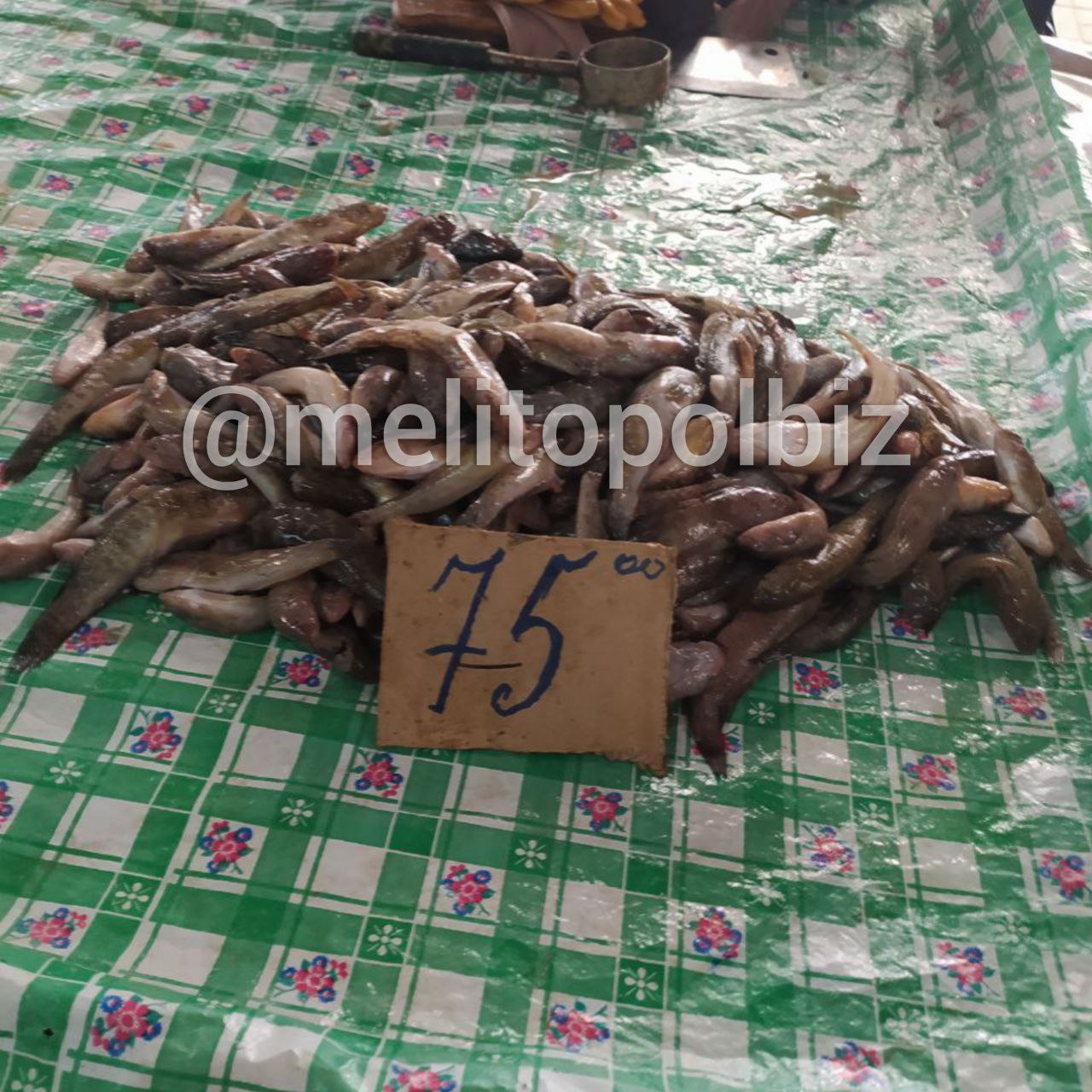 Скільки коштує на ринку в Мелітополі свіжа риба 3
